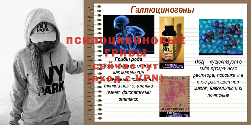 Галлюциногенные грибы прущие грибы  площадка наркотические препараты  Прохладный 